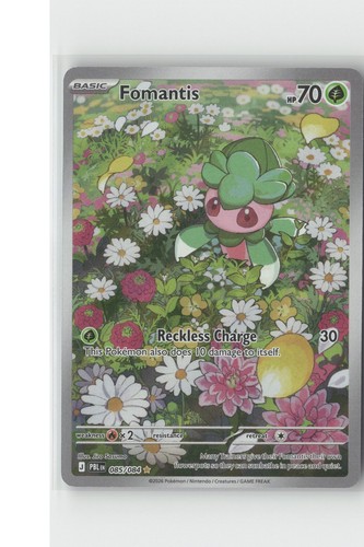Fomantis 085 084 - fomantis, 085/084